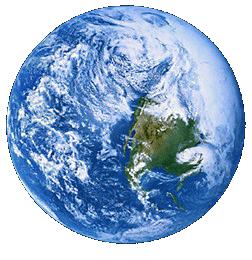 Biologia - Ciclos Biogeoquimicos